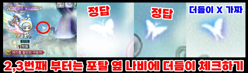 꿈의 미로 2, 3번째 맵 공략 (더듬이 여부)